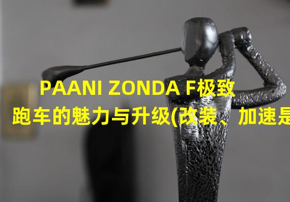 PAANI ZONDA F极致跑车的魅力与升级(改装、加速是必修课！)(打破常规的PAANI ZONDA F超跑的极致表现(独具匠心的设计和性能))